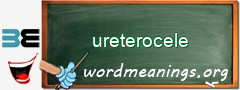WordMeaning blackboard for ureterocele